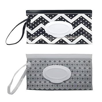 best travel wipes case