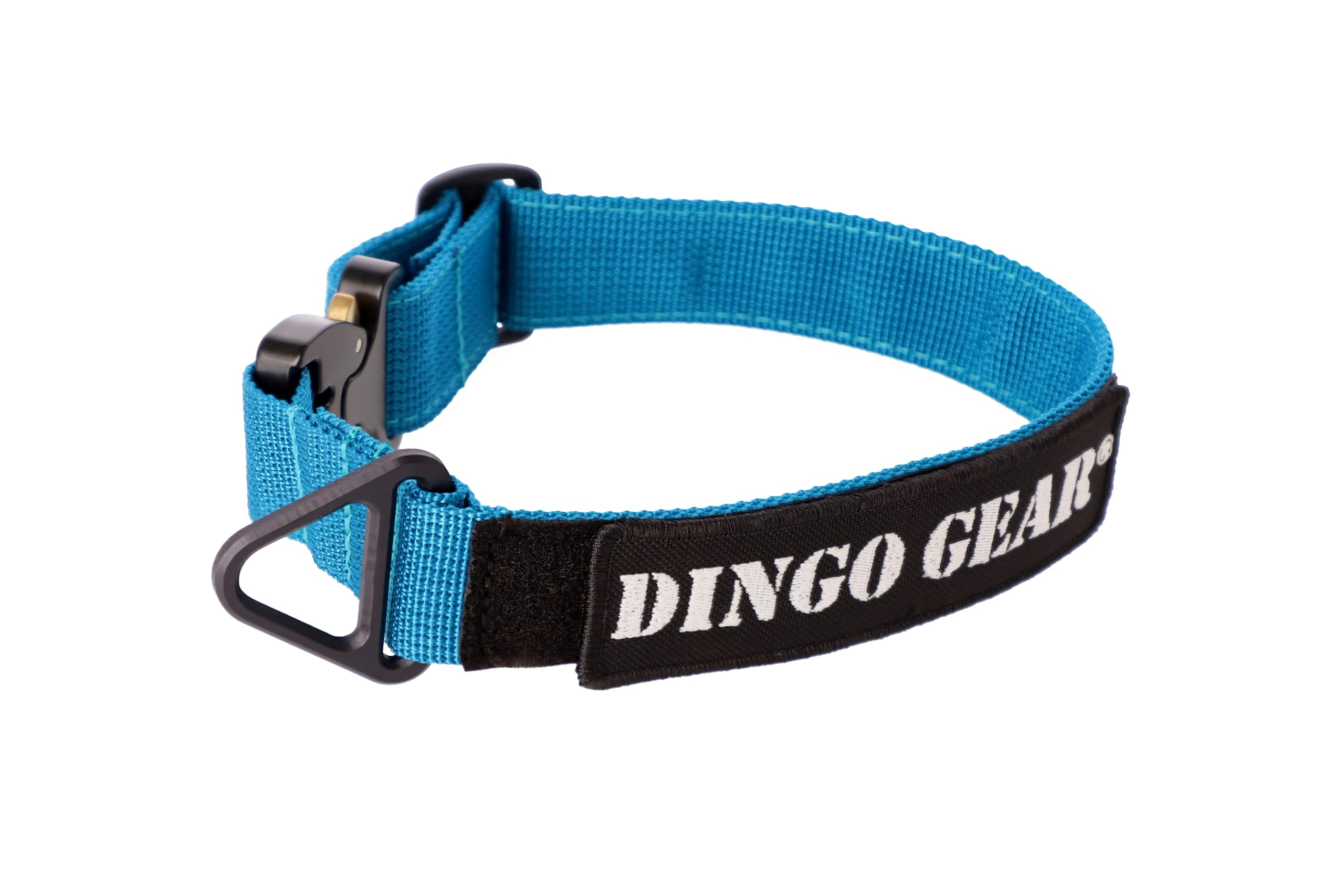DINGO GEAR Cobra Dog Collar with Professional Safety Buckle, and Label Attached with Velcro-like Fastener, Reliable Collar for Defence Training, Special Tasks, Neck Girth 45-63 cm, Sea Blue (S03939)