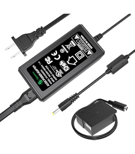 Amazon.com : Panasonic DMW-AC1 AC Adapter for Lumix Digital