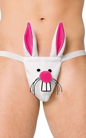 string animaux homme