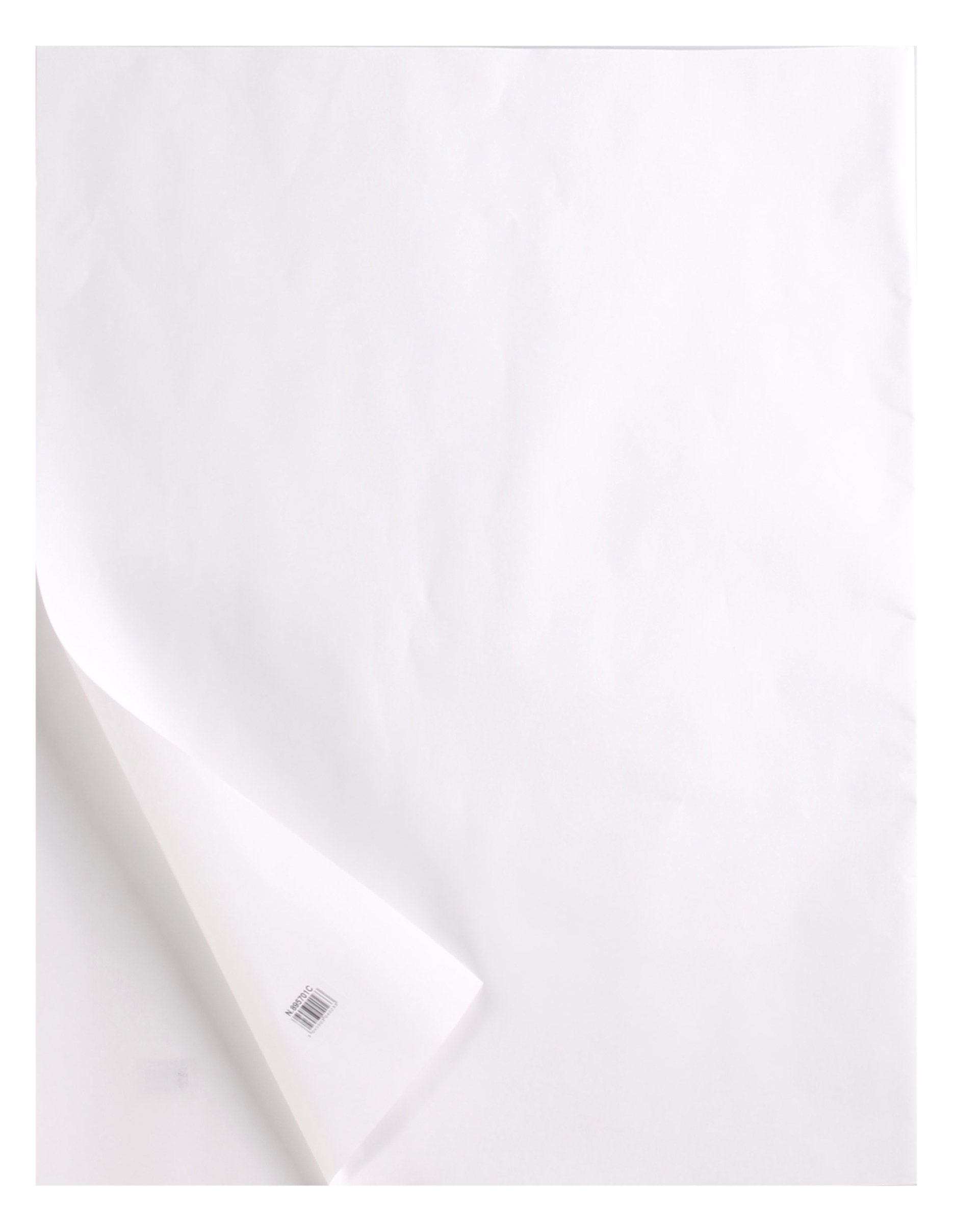 Clairefontaine - Ref 975110C - Tracing Paper Roll (Single Roll) - 0.375x20m Sized, 110g, High Transparency, Smooth Surface, Acid Free, Printable - Suitable for Ink, Marker & Pencil