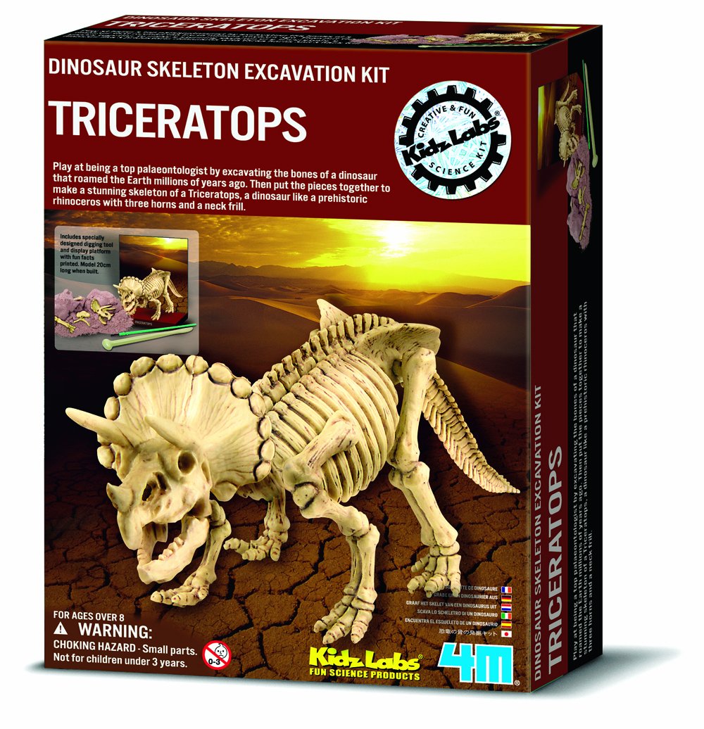 Ausgrabungsset Dinosaurier - Triceratops Ausgrabungsset