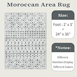 SERISSA 2x3 Washable Small Entry Rug,Soft Non Slip