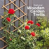 DIVCHI Wooden Trellis Expandable Garden Wall Trellis Pack of 3 180x60 Natural view 2