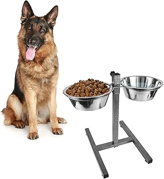 dog food and water bowl stand