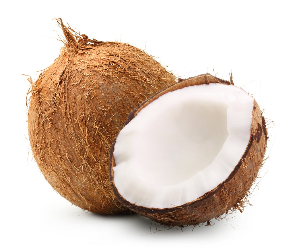 Image result for coconut