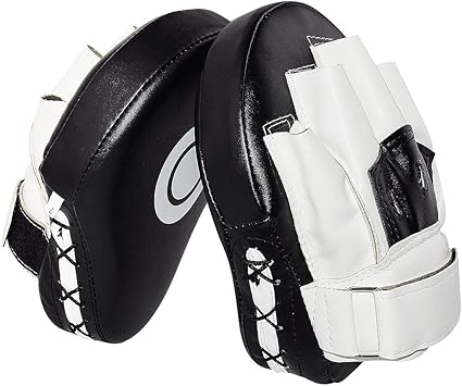 boxing hand mitts