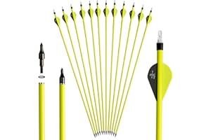 S F 28 30 inch Carbon Arrow Practice Hunting Arrows Spine 500 for Compound & Recurve Bow(Pack of 12)