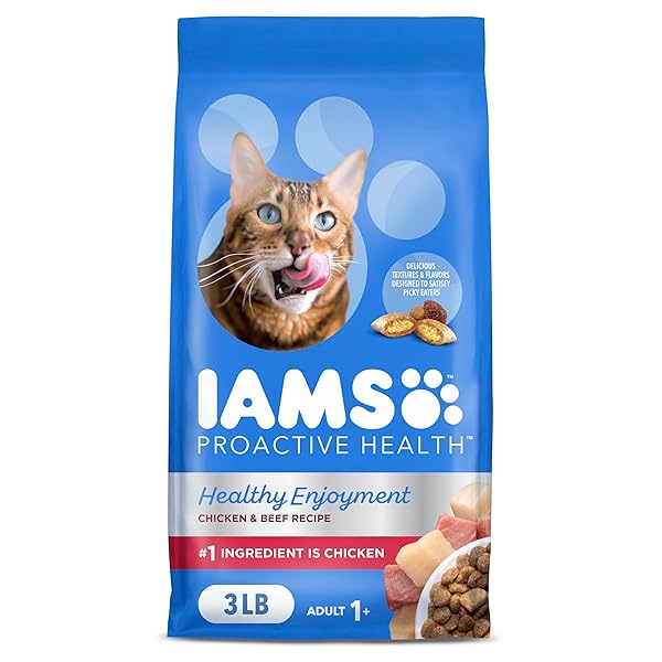 IAMS HEALTHY ENJOYMENT DRY CAT FOOD CHICKEN & BEEF RECIPE, 3 LB. BAG