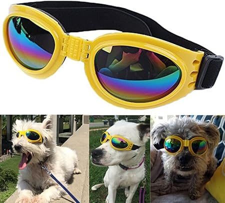goggles for dogs amazon