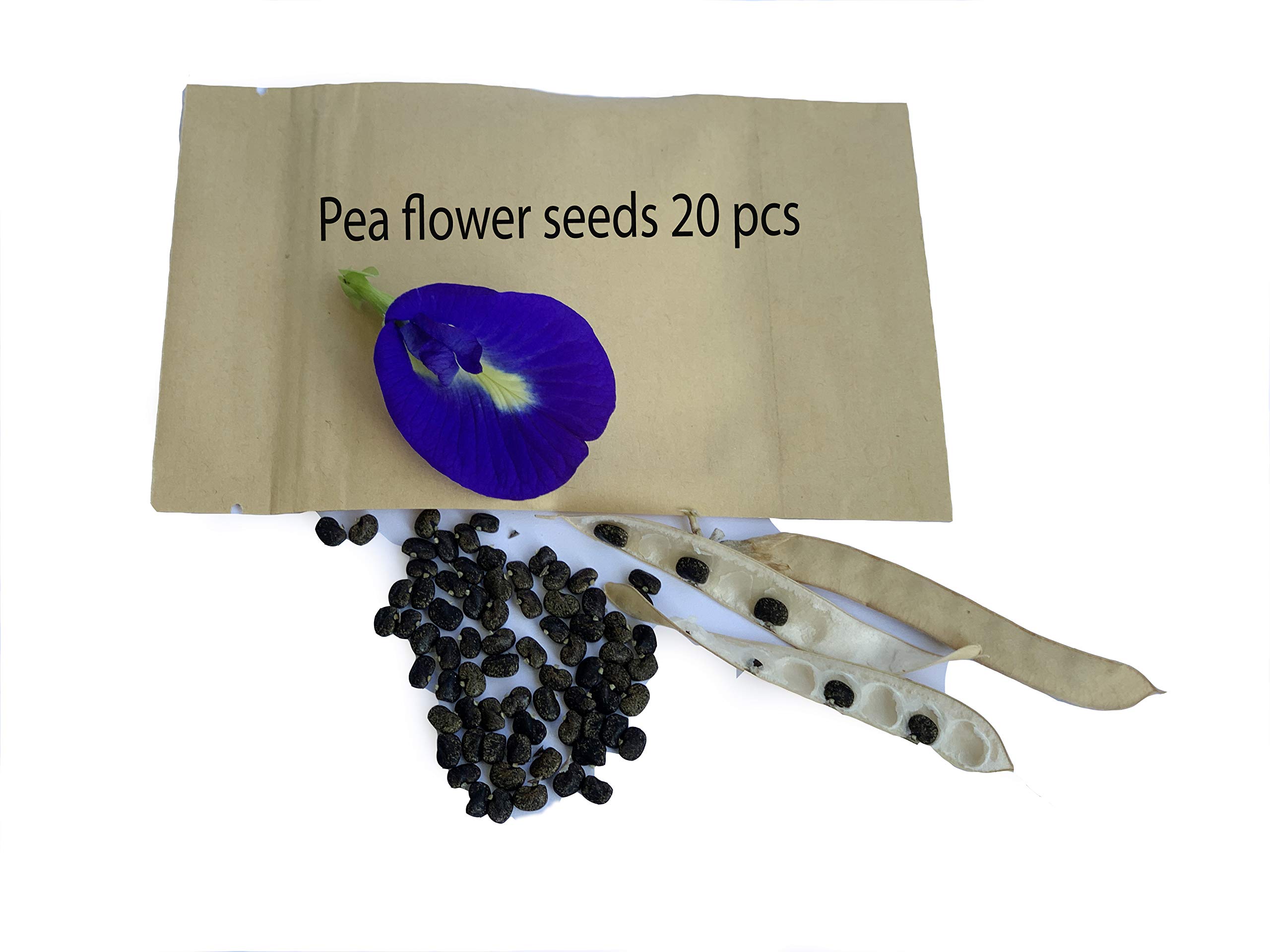 100 Blue Butterfly pea seeds Ready Sow Viable Seed Buy Online in UAE