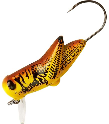 Amazon.com : Panther Martin PMRBL_2_G Single Hook Barbless Teardrop Spinners Fishing Lure - Barbless Gold - 2 (1/16 oz.) : Sports & Outdoors Amazon.com : Panther Martin PMRBL_2_G Single Hook Barbless Teardrop Spinners Fishing Lure - Barbless Gold - 2 (1/16 oz.) : Sports & Outdoors