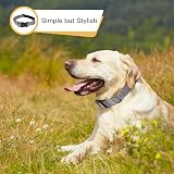 HEELE Reflective Dog Collar Neoprene Padded Nylon Adjustable S Grey 26-38cm view 3
