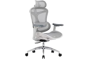 SIHOO Doro C300 Ergonomic Office Chair with 3D Armrests, Dynamic Lumbar Support, and Seat Depth Adjustment for Home Office (A
