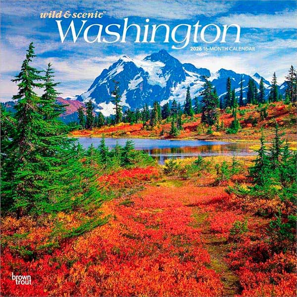 New Zealand Wine: The Land, The Vines, The People: Moran