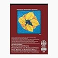 Bee Paper - 11"x 14" Vellum Bristol Paper Pad, 15 Sheets