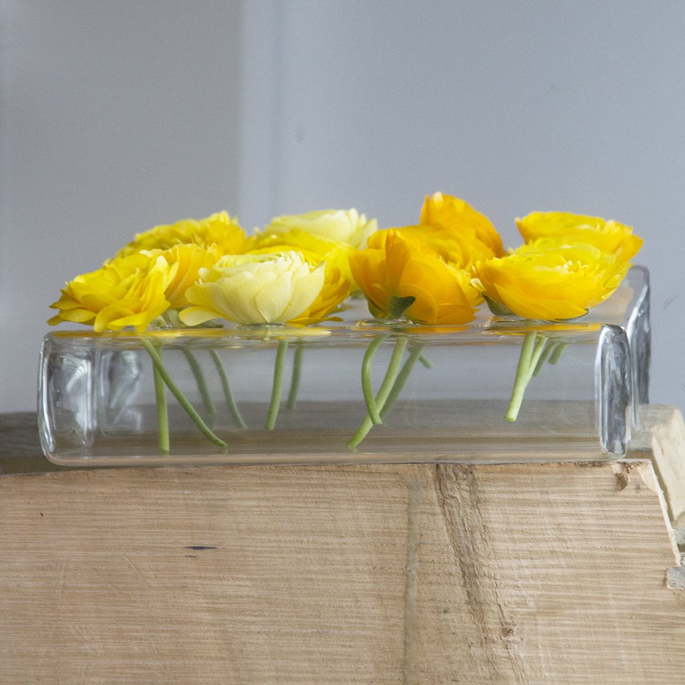 Chive Hudson 8" Rectangular Unique Glass Flower Vase, Elegant Low Laying Clear 882942017014 eBay