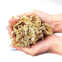 Premium Grade Sphagnum Moss by Gardenera - Organic