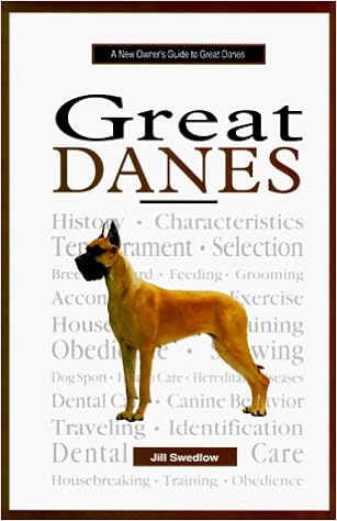 pink collar and lead