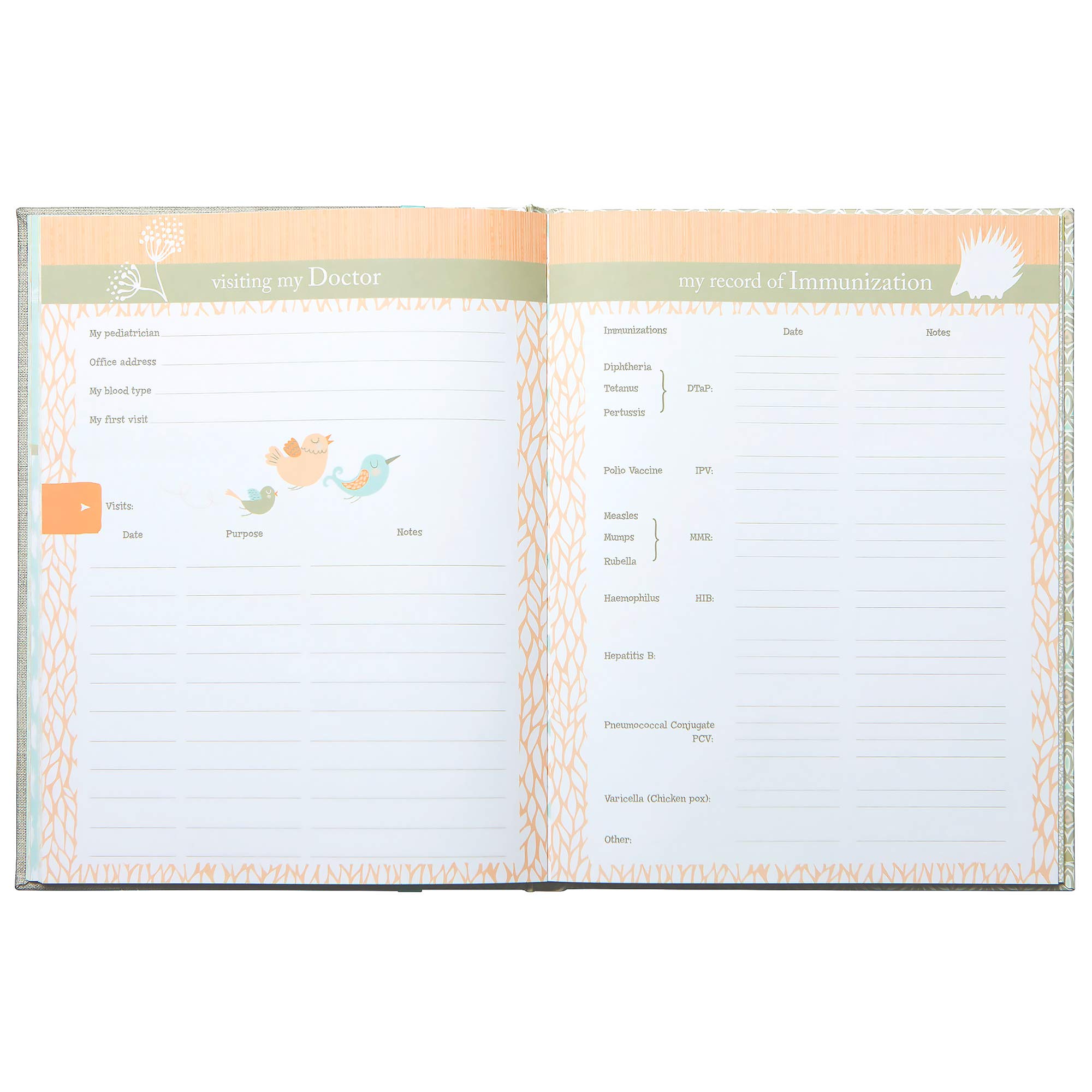 C.R. Gibson B2-15559 Nature Themed Baby's First Five Years Memory Book, 9'' W x 11'' H with 64 Pages, Multicolor