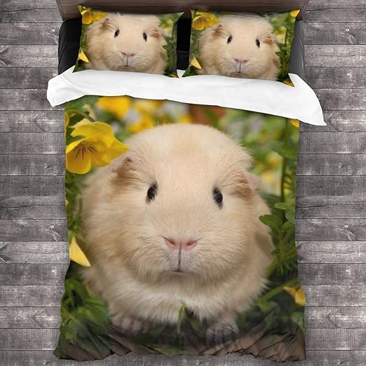 how to wash guinea pig bedding