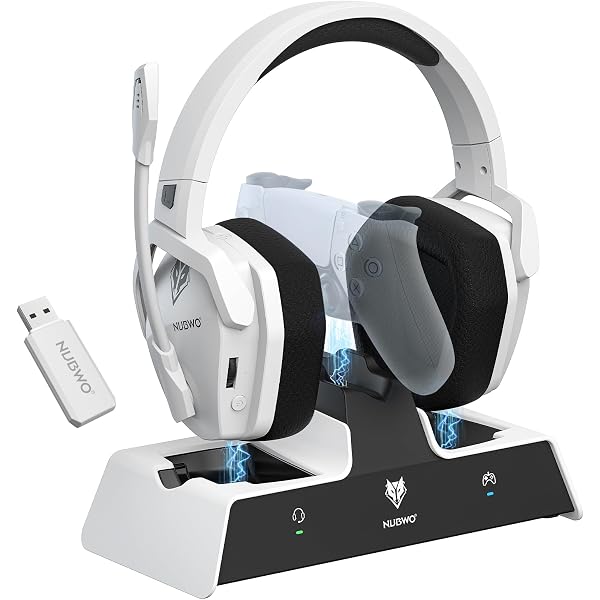 Amazon.com: ASTRO Gaming A40 TR Headset + MixAmp Pro TR for Xbox