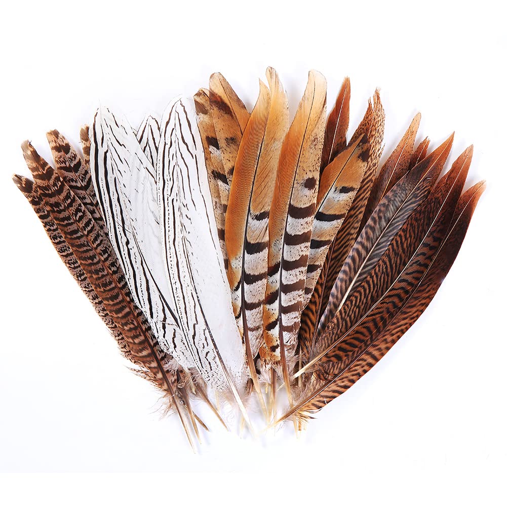 Photo 1 of 12pcs Natural Pheasant Feathers 4 Style 20-25cm Natural Feathers for DIY Craft Wedding Home Party Decorations Feathers FF08…
