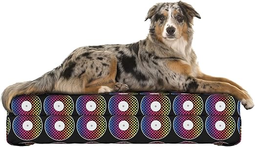 disco dog amazon