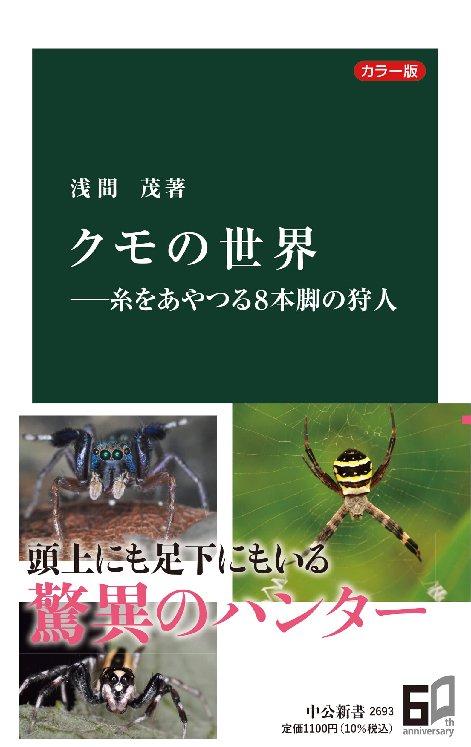 カラー版 クモの世界 糸をあやつる8本脚の狩人 中公新書 2693 浅間 茂 本 通販 Amazon