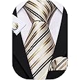 Barry.Wang Stripe Men Ties Set Classic WOVEN Necktie with Handkerchief Cufflinks Formal