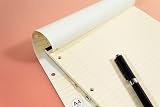 Silvine A4 Cream Dyslexia Refill Pad 100 Pages Lined with Margin view 5