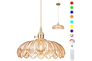 Loiogohot Battery Operated Pendant Light,Vintage Light Fixtures 2500mAh 9.8in RGB Light Bulb with Remote Control Wireless Adjustable Rechargeable Chandelier for Kitchen Island Hallway 1Light