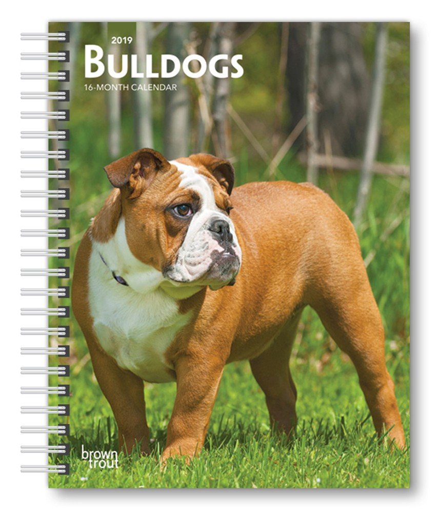 Bulldogs 2019 Diary