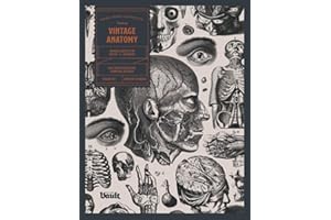 Vintage Anatomy: An Image Archive for Artists and Designers