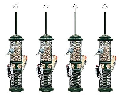 Amazon Com Brome Bird Care Bd1052 Squirrel Buster Peanut