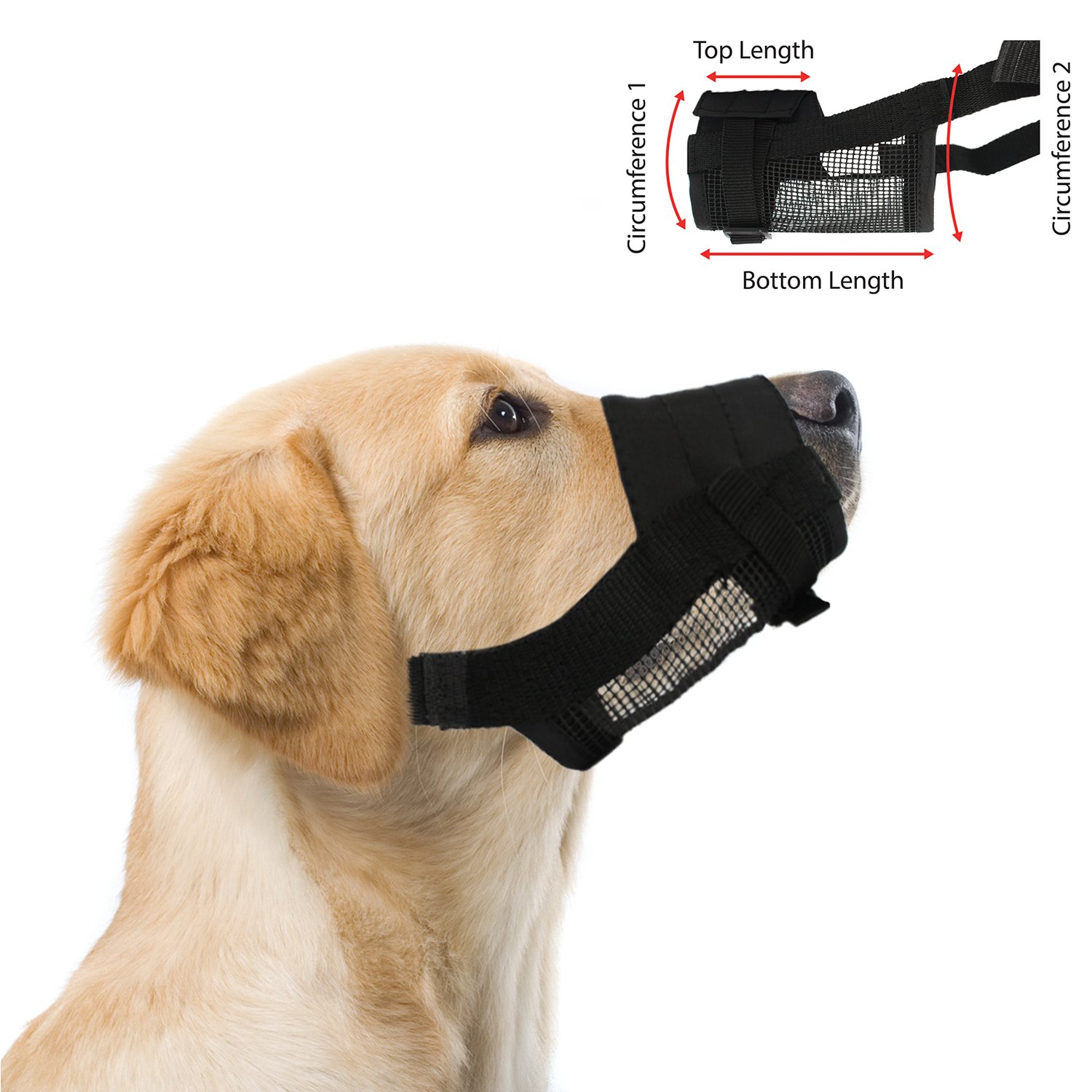 dog grooming muzzle