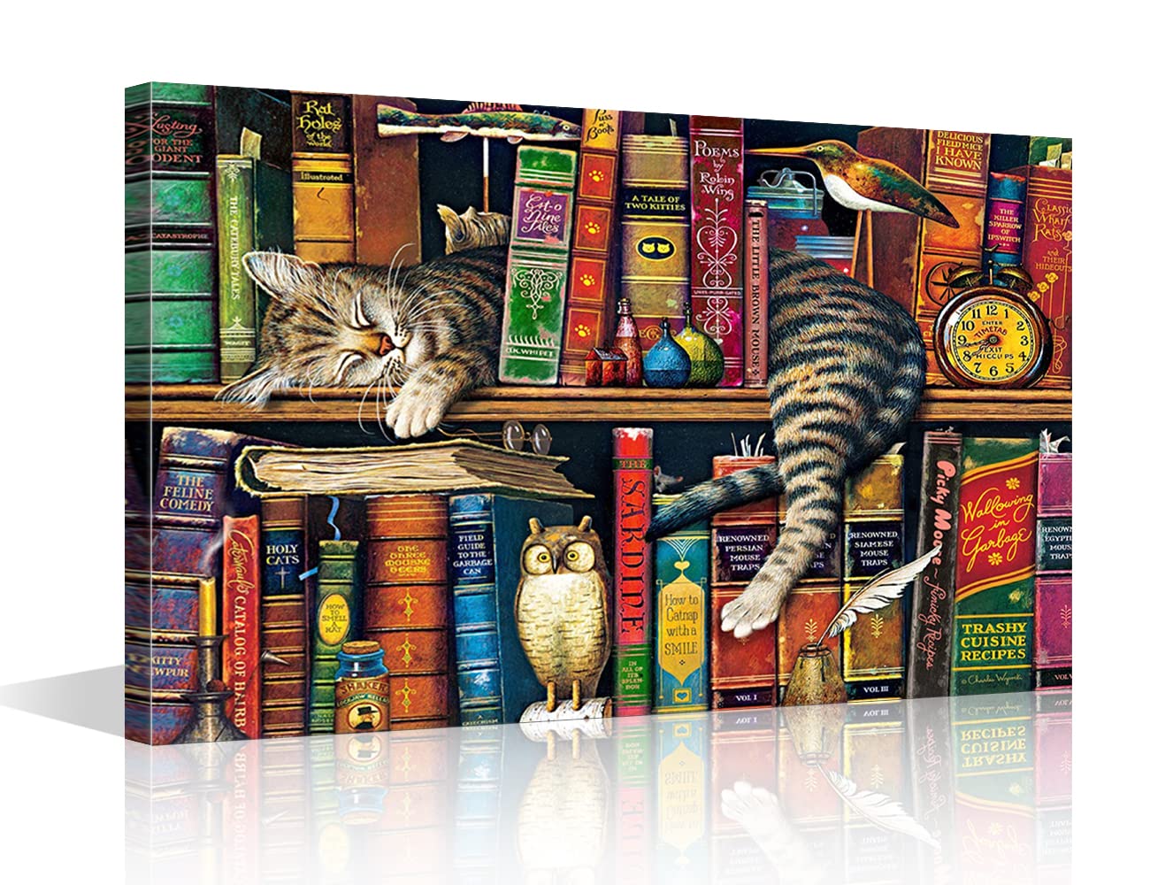 Canvas Wall Art Modern Canvas Art Animal Sleeping Cat Abstract Pictures Bookshelf Artwork for Living Room Bedroom Wall Decor Office Wall Painting Ready To Hang 16x24inch