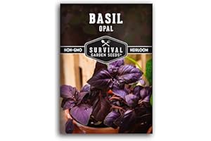 Opal Basil Seed for Planting - Packet with Instructions to Plant and Grow Delicious & Unique Purple Basil Herb Plants in Your Home Vegetable Garden - Non-GMO Heirloom Variety - Survival Garden Seeds