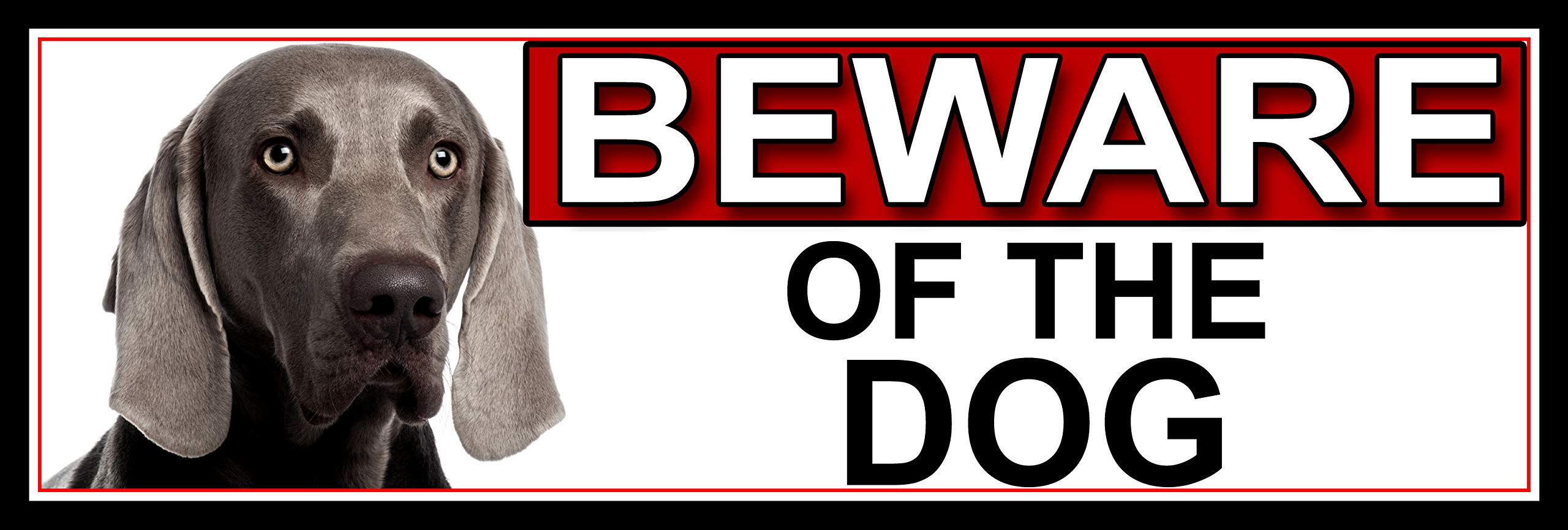 SHAWPRINT Weimaraner BEWARE OF THE DOG METAL GATE SIGN 266mm x 87m. (551H2)