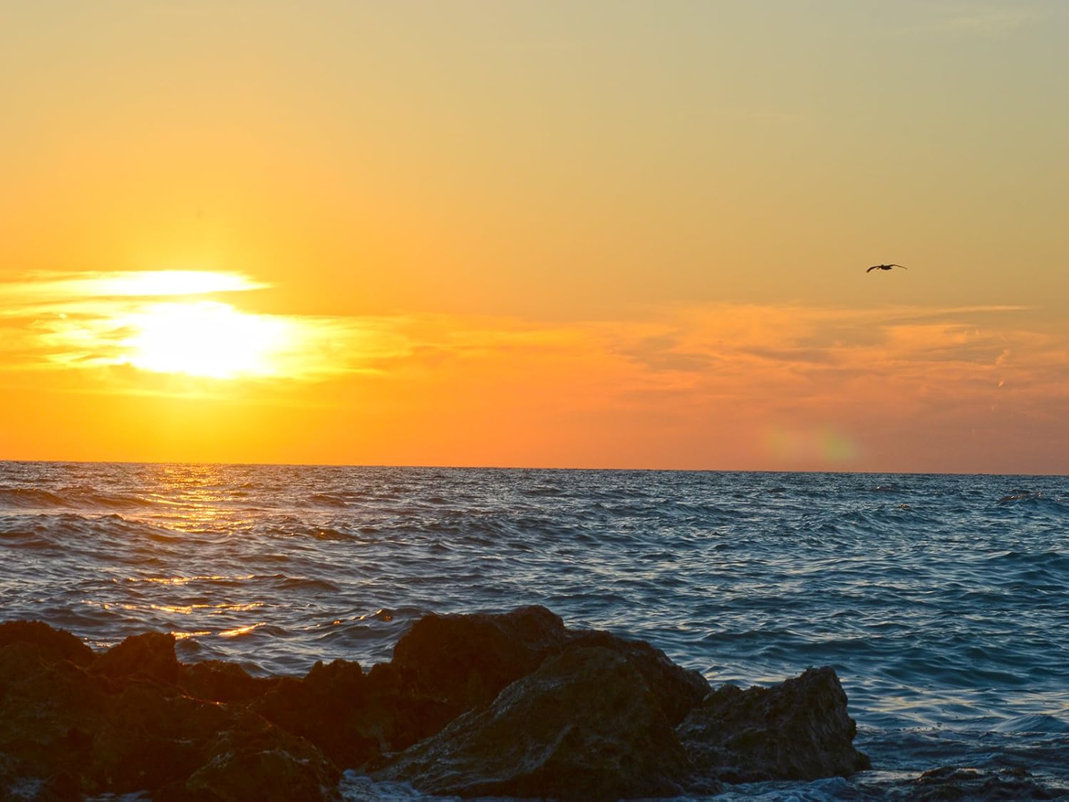 Sunset Poster Florida Poster Caspersen Beach Venice Florida 24x36