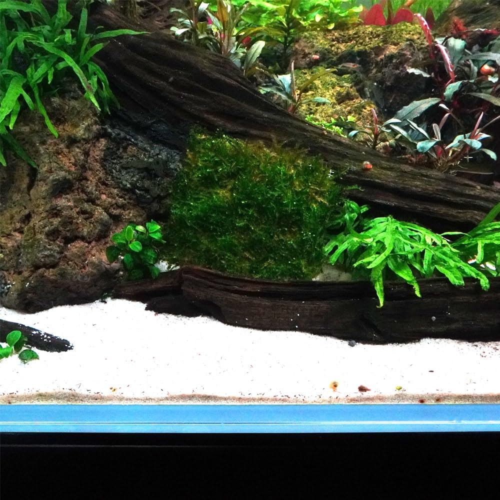 View 8