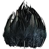 120pcs 5-7" Black Feathers for Crafts,Saddle Hackle Feather,Rooster Feathers Bulk for Wedding Home Party, Dream Catcher Supplies and DIY Crafts(Black)