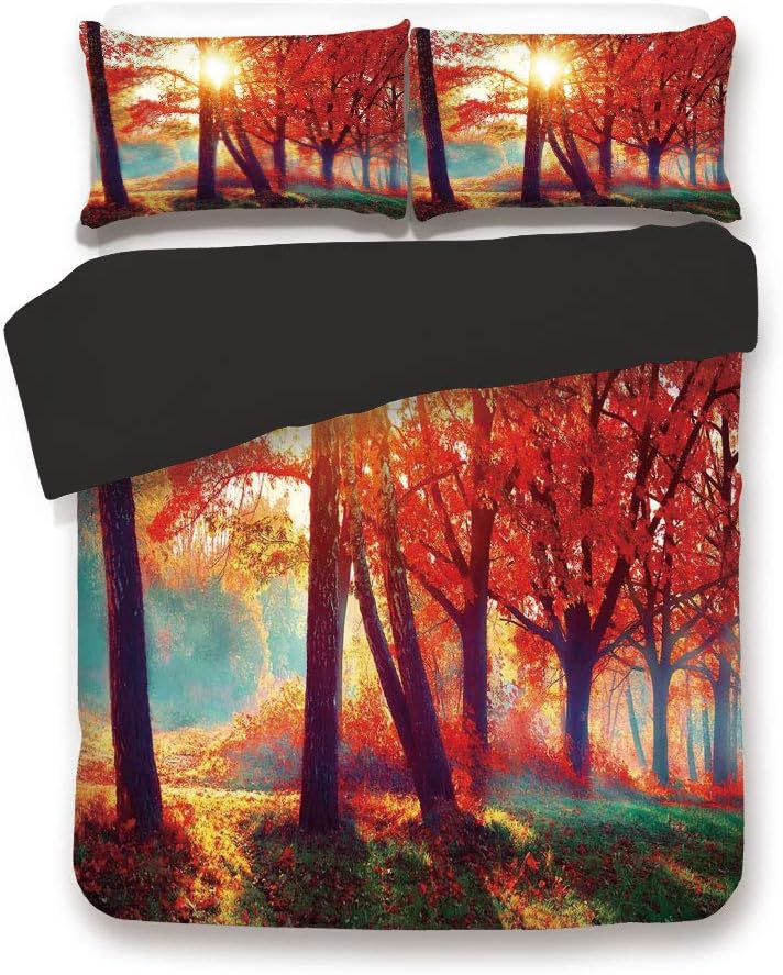 Black 3pc Bedding Set,Autumnal Foggy Park Fall Nature Scenic Scenery Maple Trees Sunbeams Woods Full Size Duvet Cover Set,Printed Comforter Cover with 2 Pillowcases for Teens Boys Man
