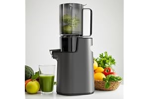 Larinest Slow Masticating Juicer Machines Cold Press Juicer Machines with 4" Wide Chute Pure Juicer Machine for Vegetables and Fruits,Reverse Function,NO BPA,JC01,Grey