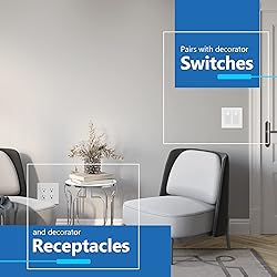 LIDER Brushed Finish Decorator Switch