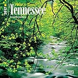 Tennessee, Wild & Scenic - 2017 - USA 7 Inch x 7 Inch Hanging Mini Wall Photographic American State Nature Planner Calendar by 