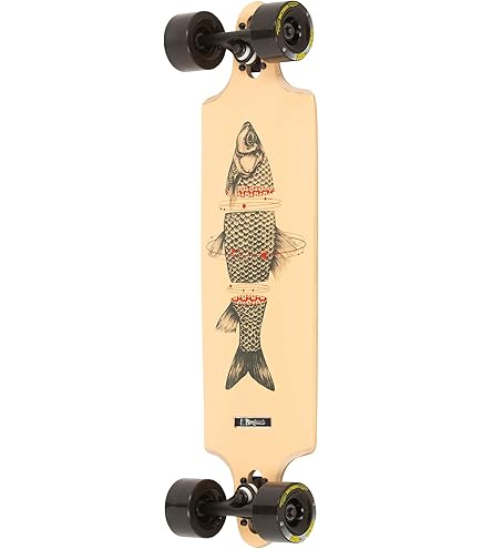 Amazon.com : Landyachtz Complete Longboard Skateboards - Drop