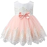 Bow Dream Baby Flower Girl Dress Tulle Formal Blush Pink Tutu Princess Wedding Toddler Party Newborn Birthday Party Clothes