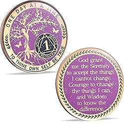One Year Sobriety Coin AA Chips and Medallions