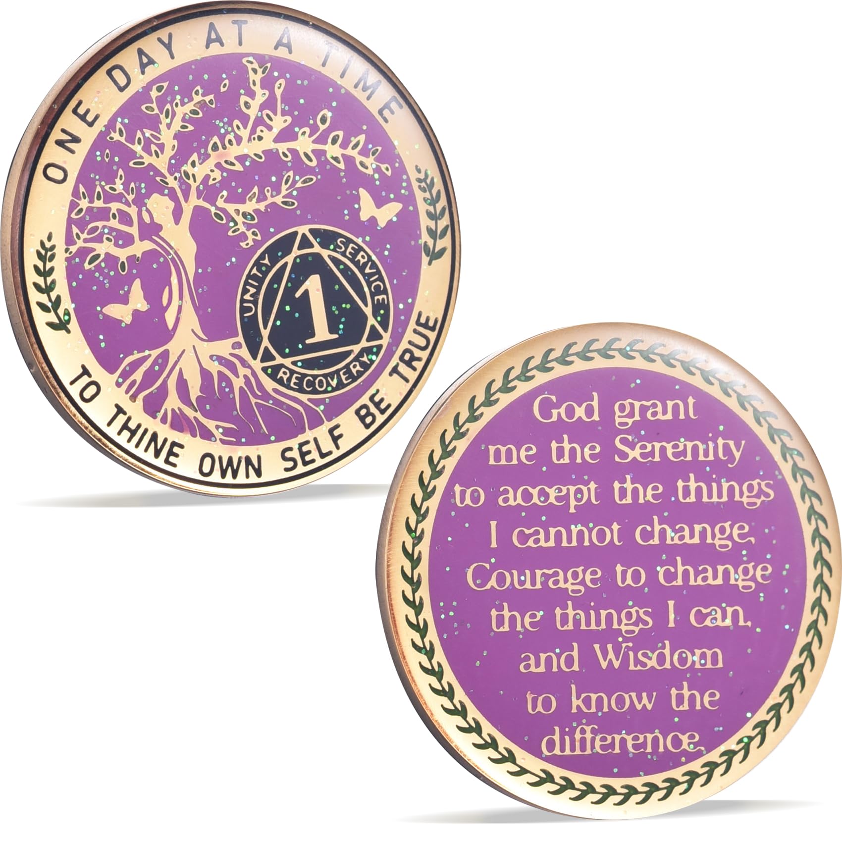One Year Sobriety Coin AA Chips and Medallions
